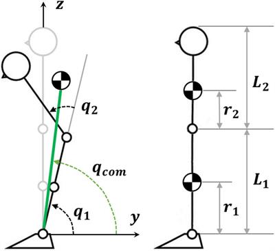 Integrating ankle and hip strategies for the stabilization of upright standing: An intermittent control model